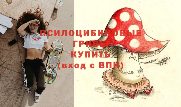 крисы Семёнов