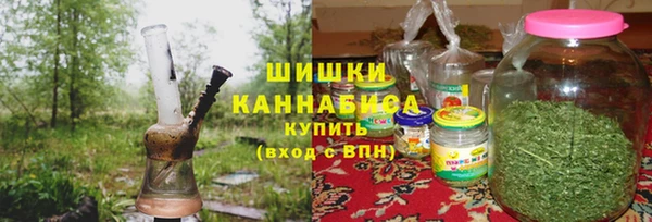 МДПВ Кукмор