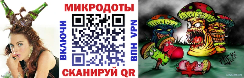 Псилоцибиновые грибы Cubensis  Ершов 
